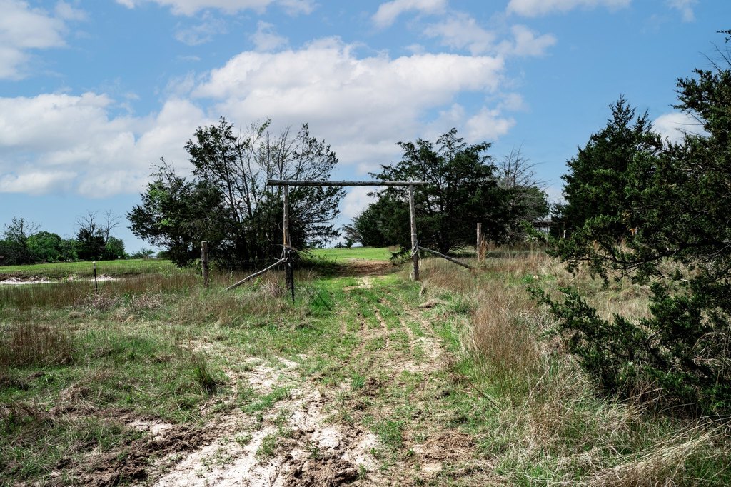 Picture 27
