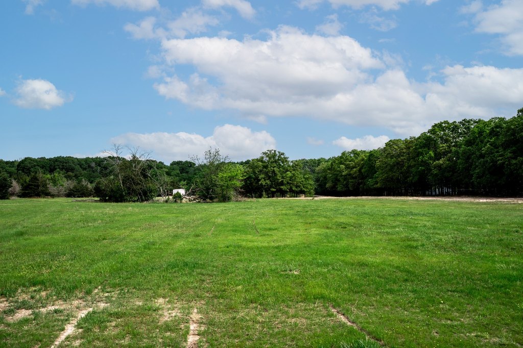 Picture 19