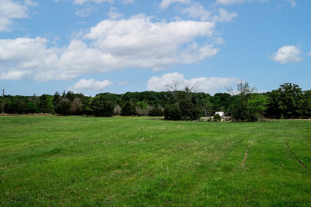 Picture 20