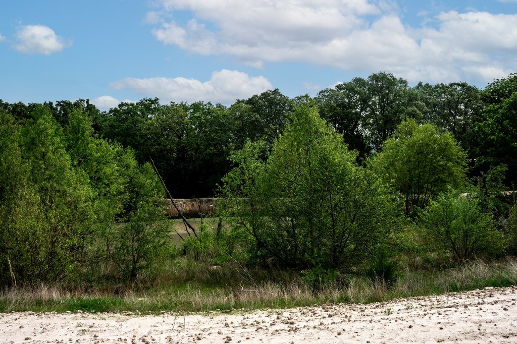 Picture 22