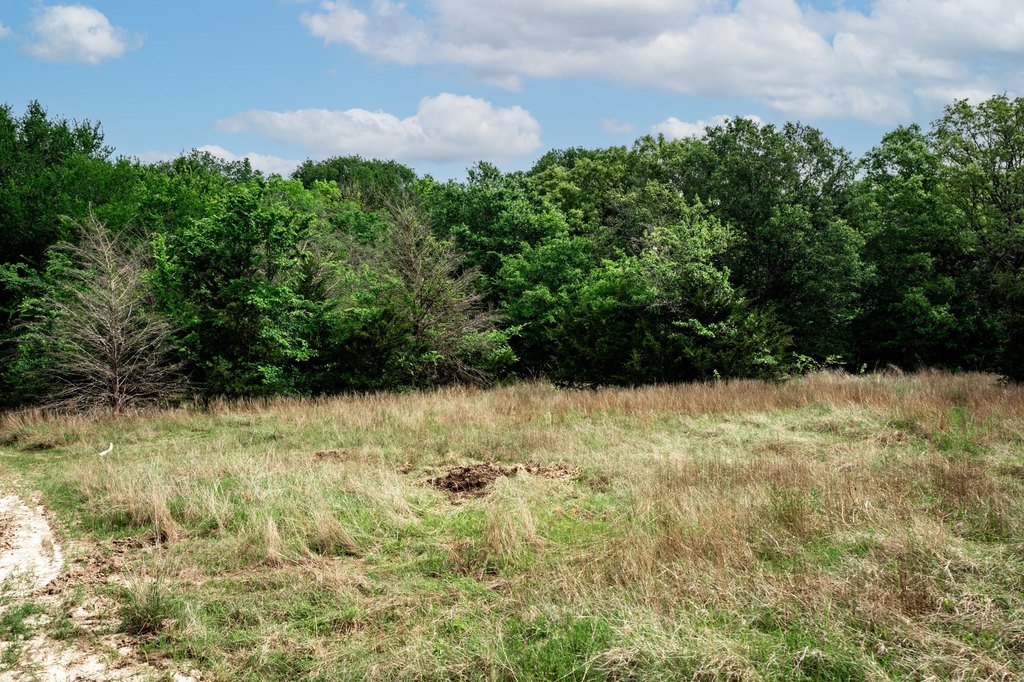Picture 26