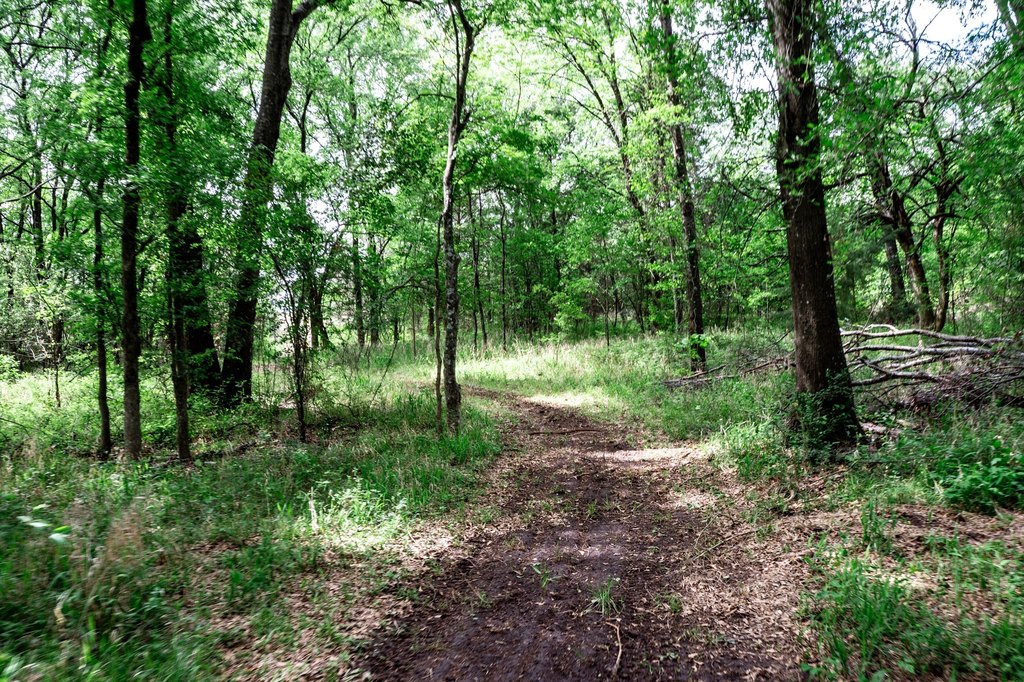 Picture 31