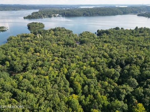 Lots & Acreage, Rockwood, TN
