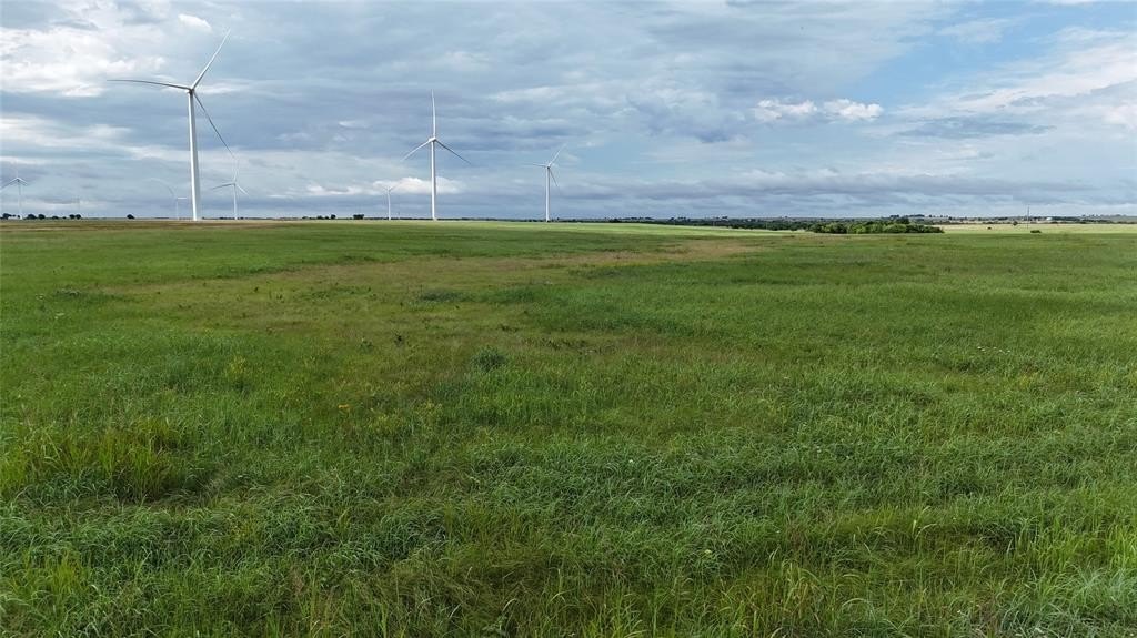 Picture 13