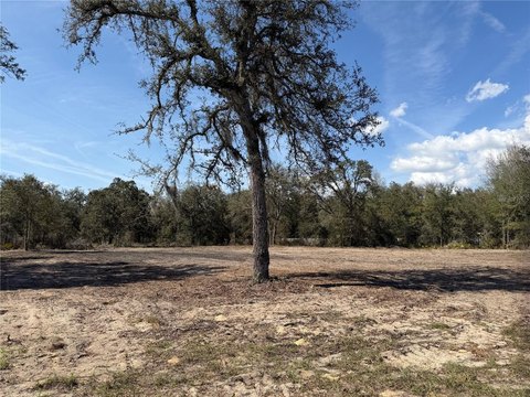Cleared Lot in Bronson, FL