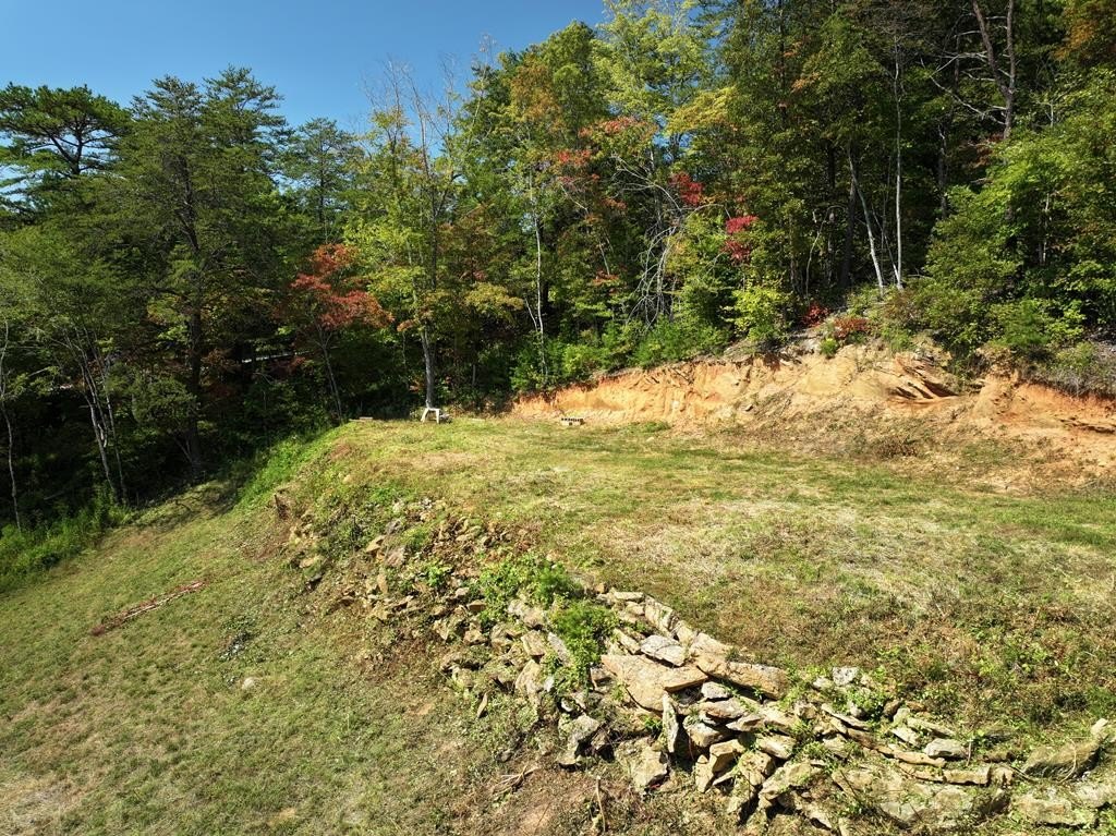 Picture 19