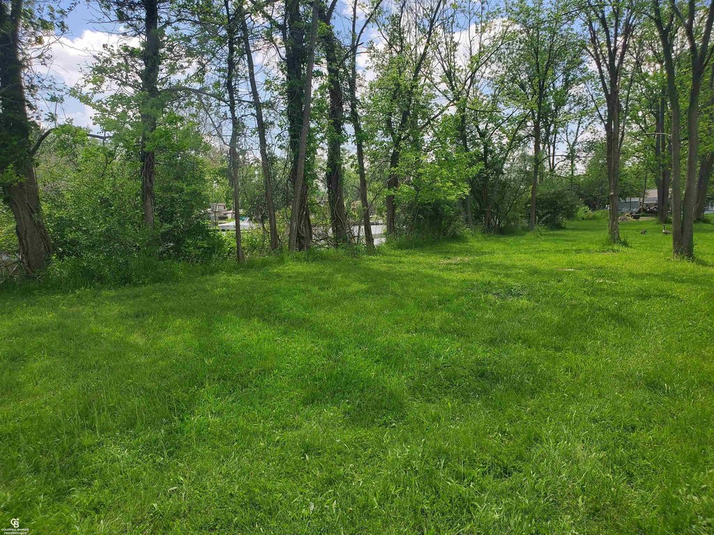 Picture 14