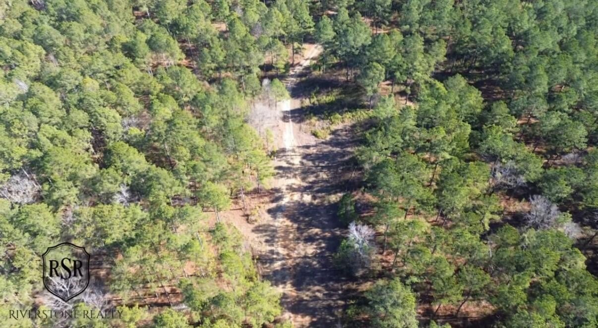 Secluded Wooded Acreage in Plum Branch