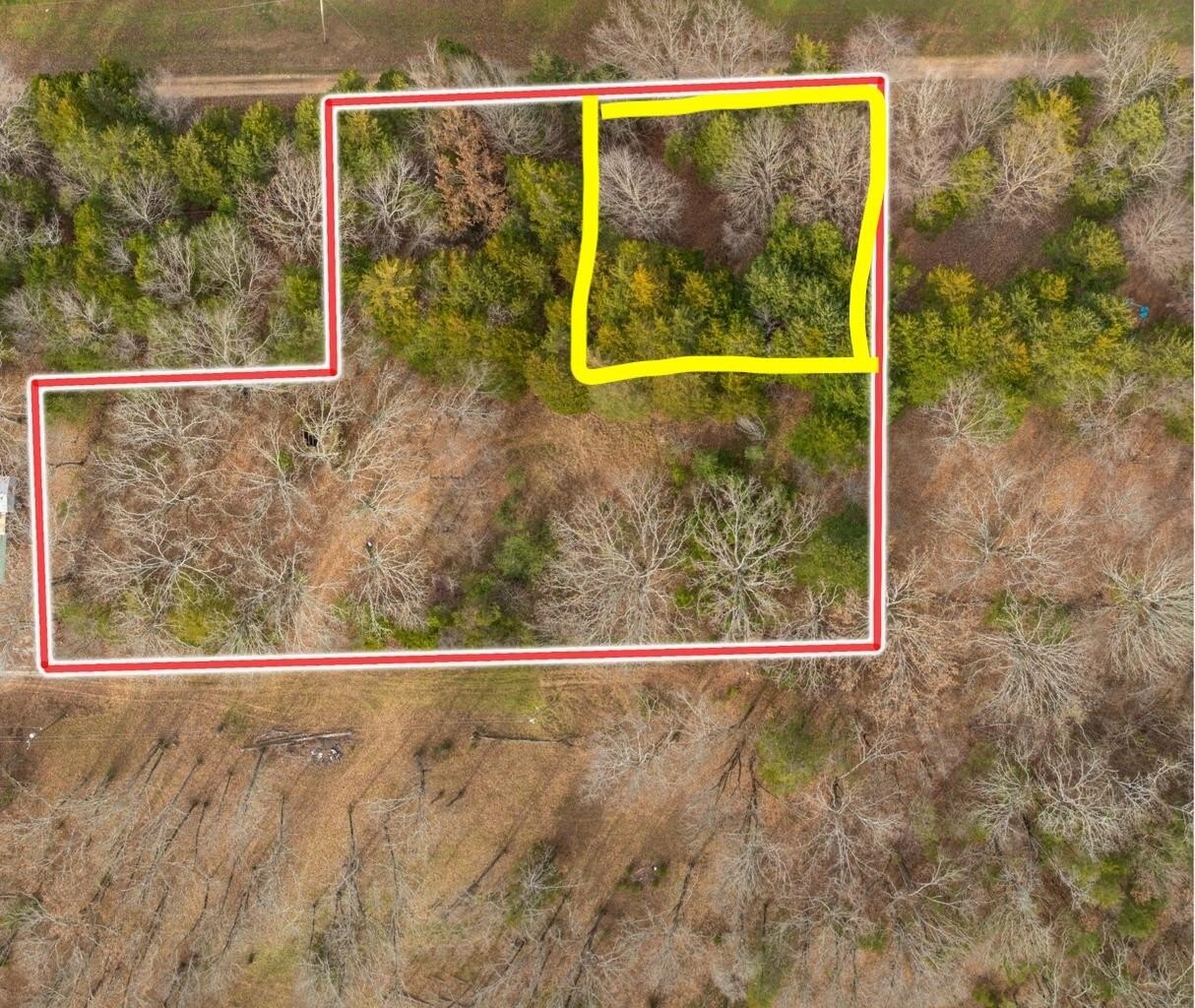 Wooded Lot Near Table Rock
