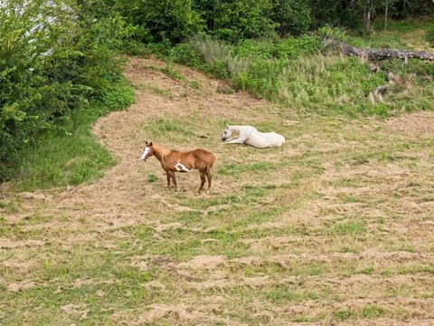 28 Acres of Unrestricted Land