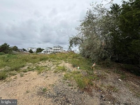 Land, LITTLE EGG HARBOR TWP, NJ