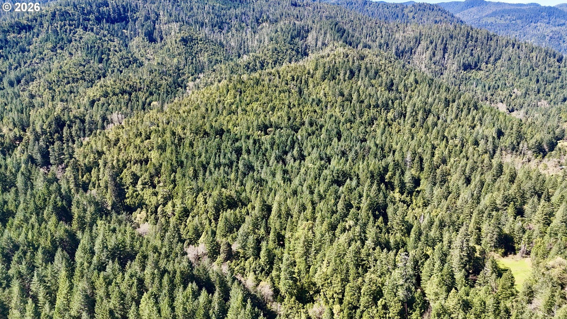Rogue River Timberland Retreat