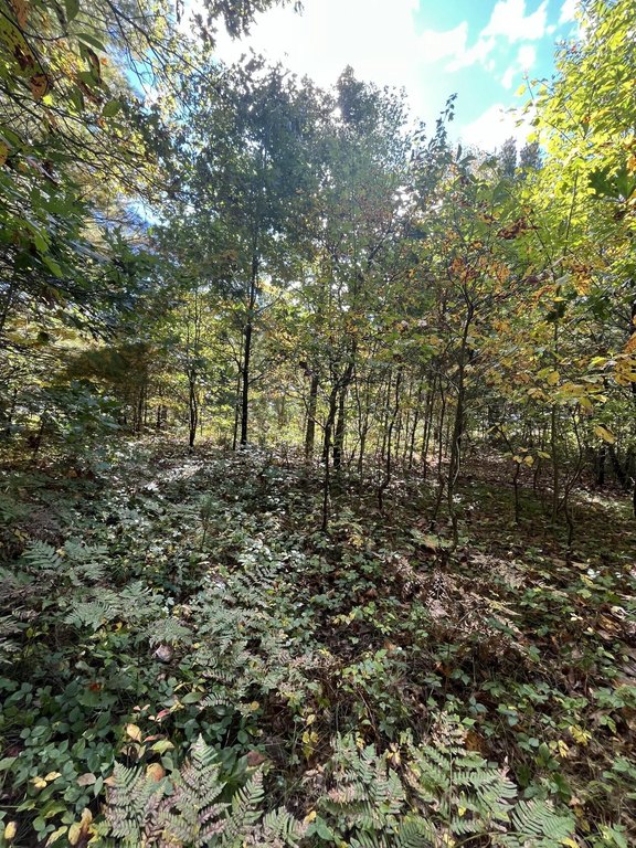 Picture 3