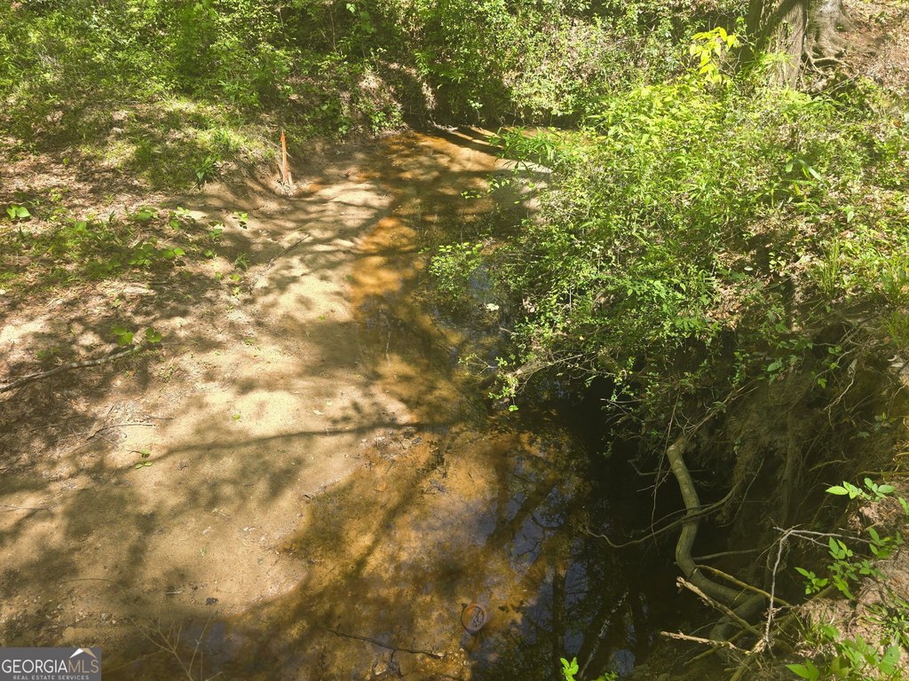 Picture 4