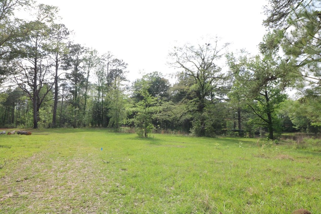 Picture 8