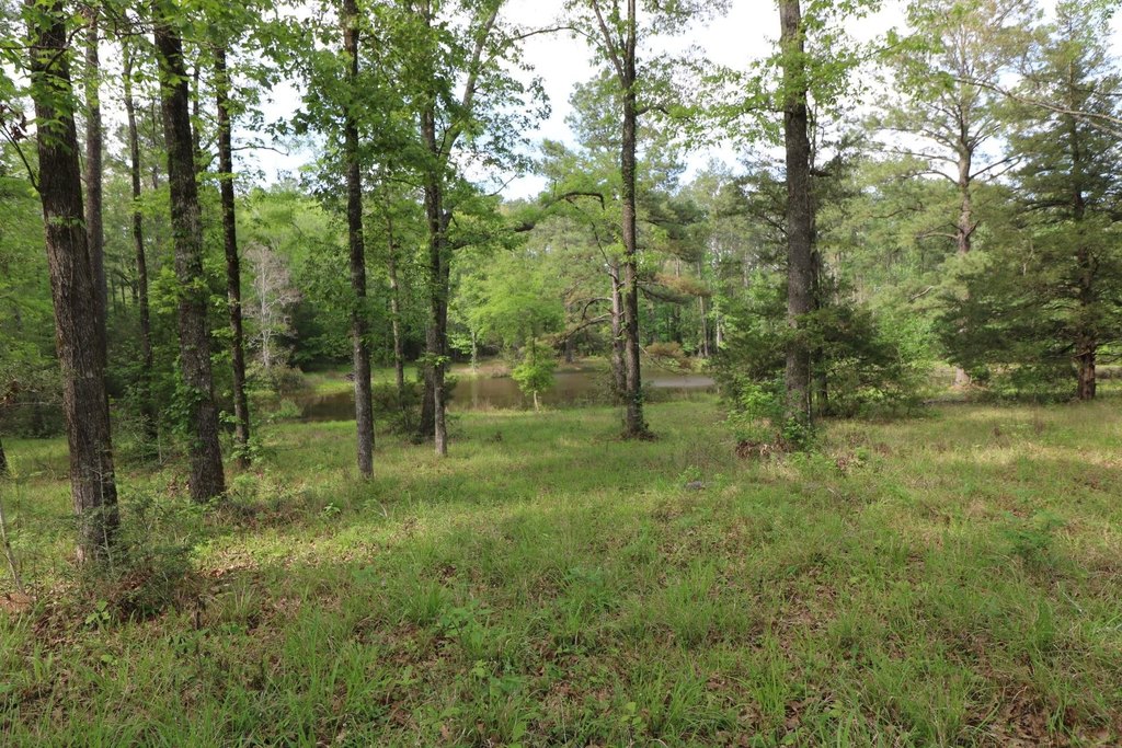 Picture 19