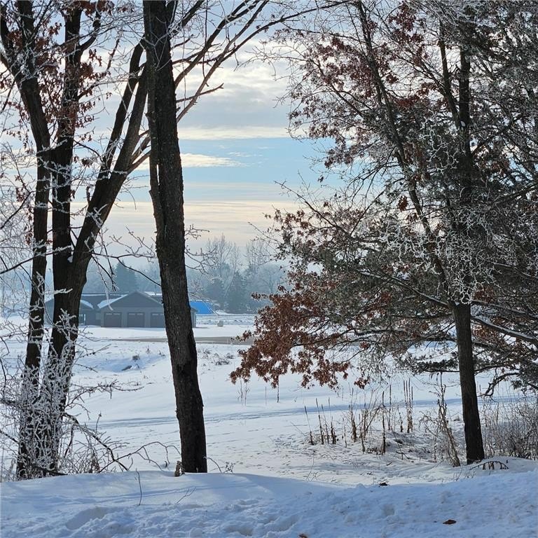 Picture 7
