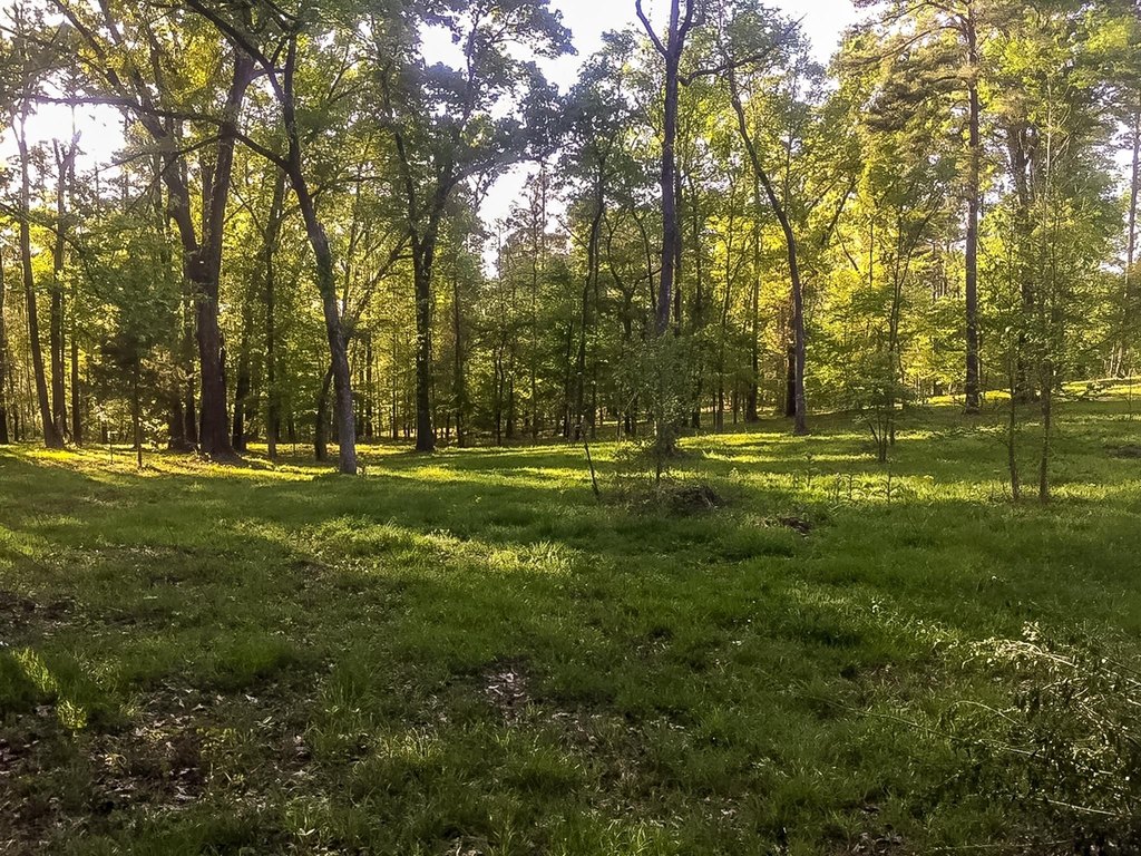 Picture 18
