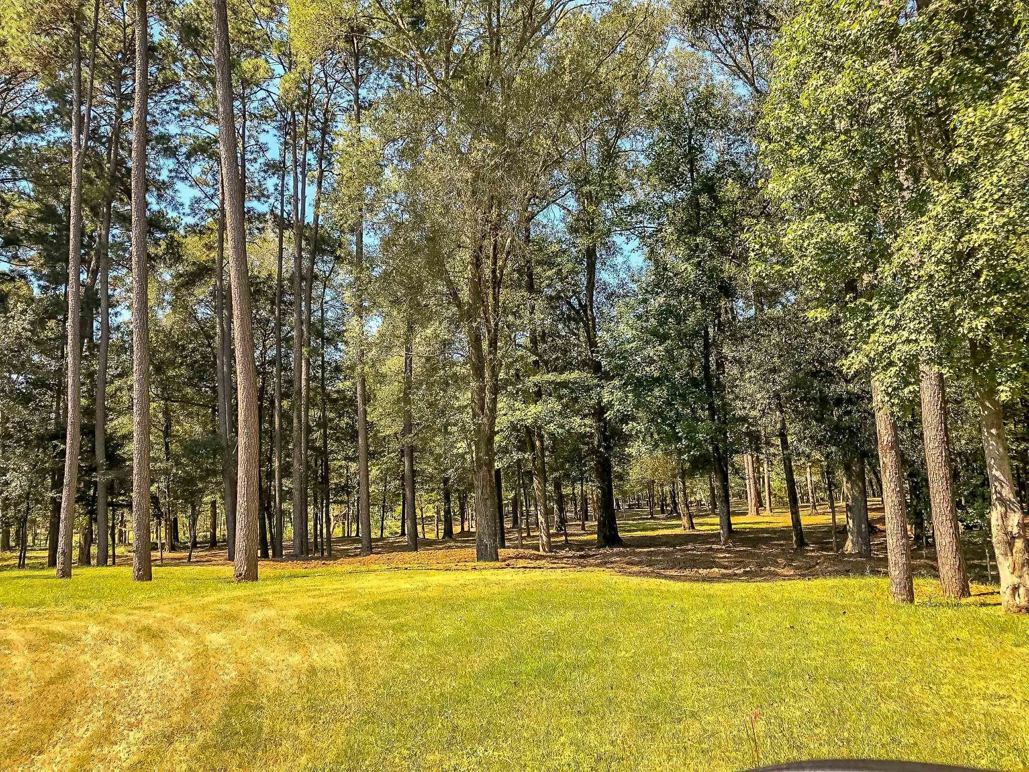 28 Acres in Jefferson, TX