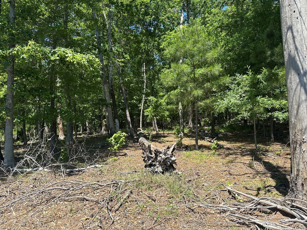 Picture 19