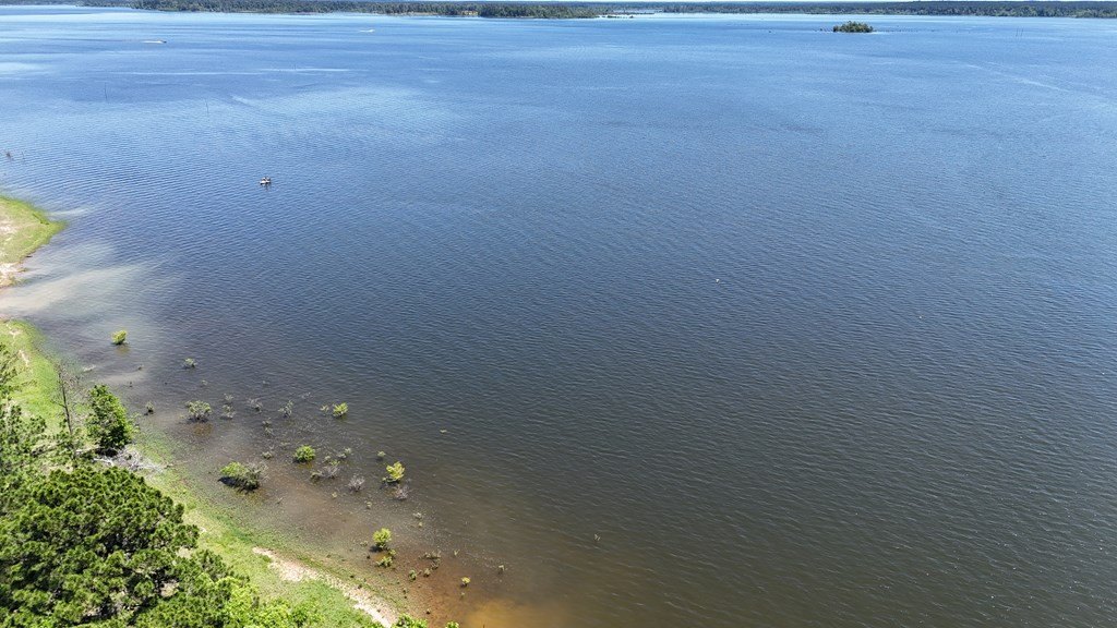 Picture 15