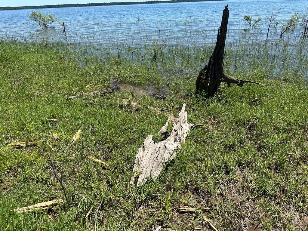 Picture 21
