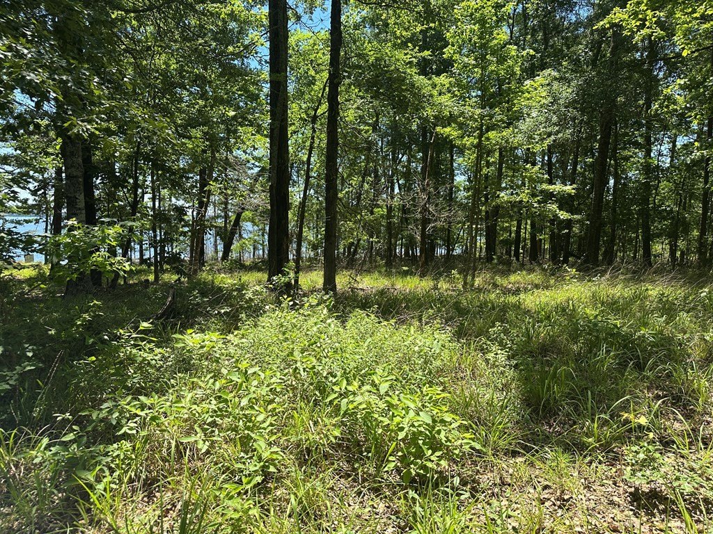 Picture 25