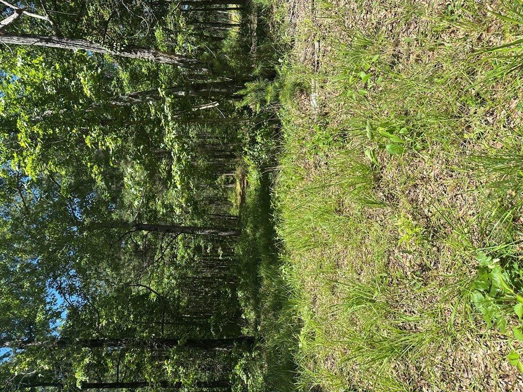 Picture 24