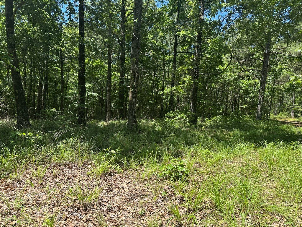 Picture 23