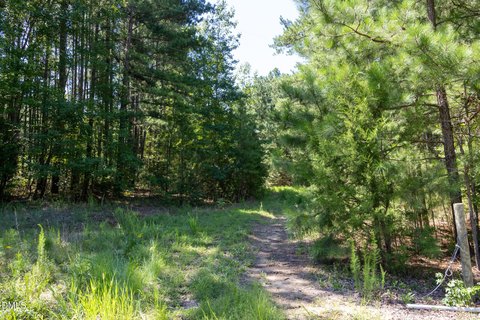 LAND - Creedmoor, NC