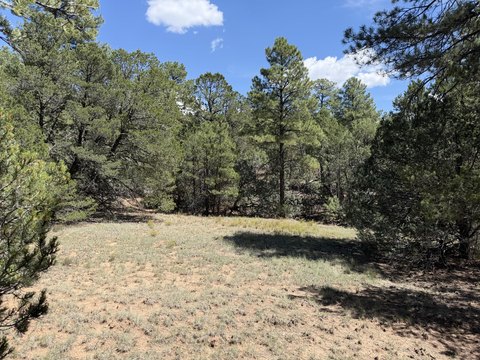 Land, Tijeras, NM