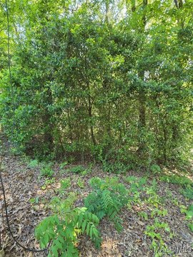 Residential Land in Prattville, AL