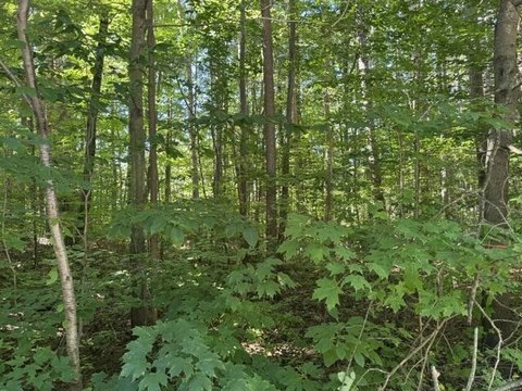 Land, Fennville, MI