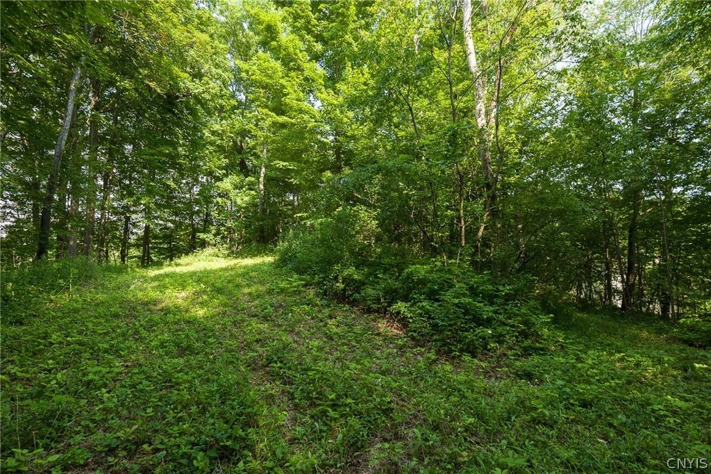Picture 19