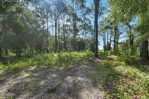Land, Bunnell, FL