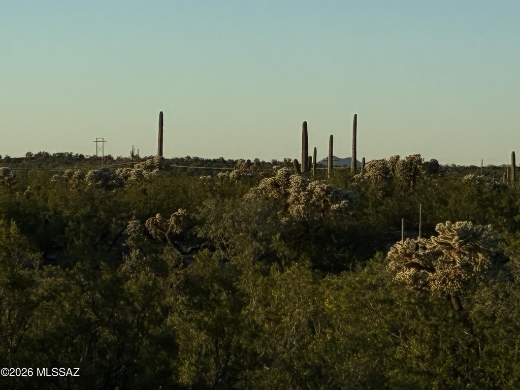 Picture 18