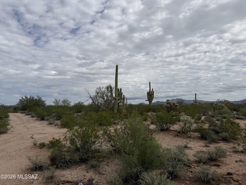 Land, Catalina, AZ
