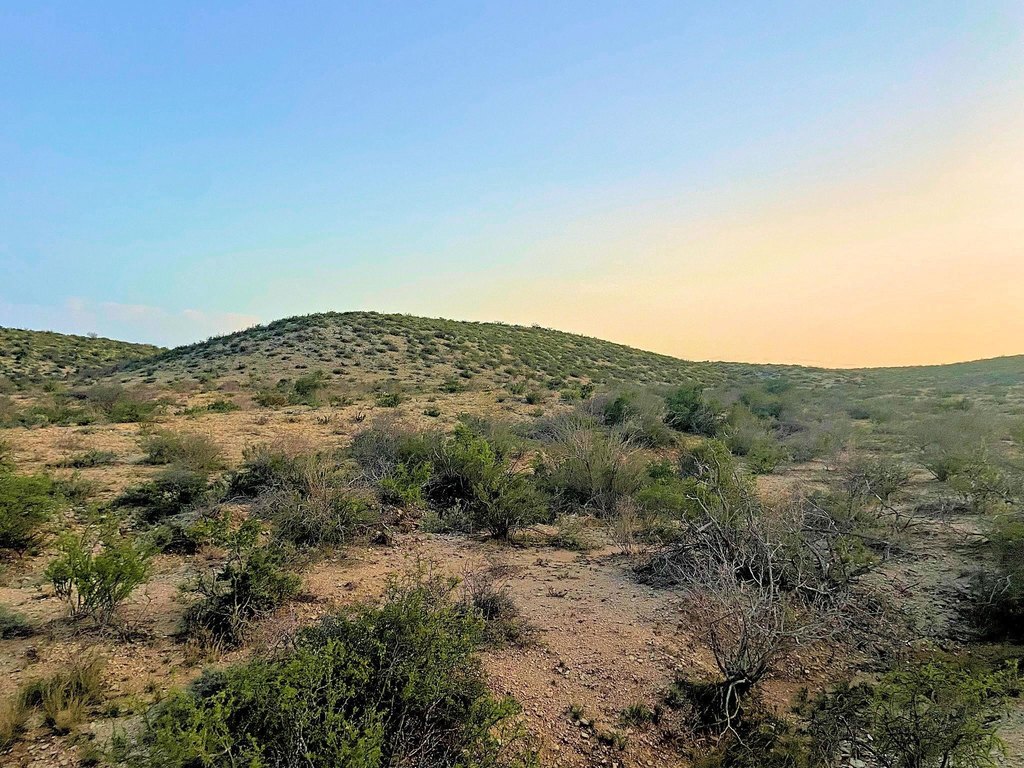 Picture 20