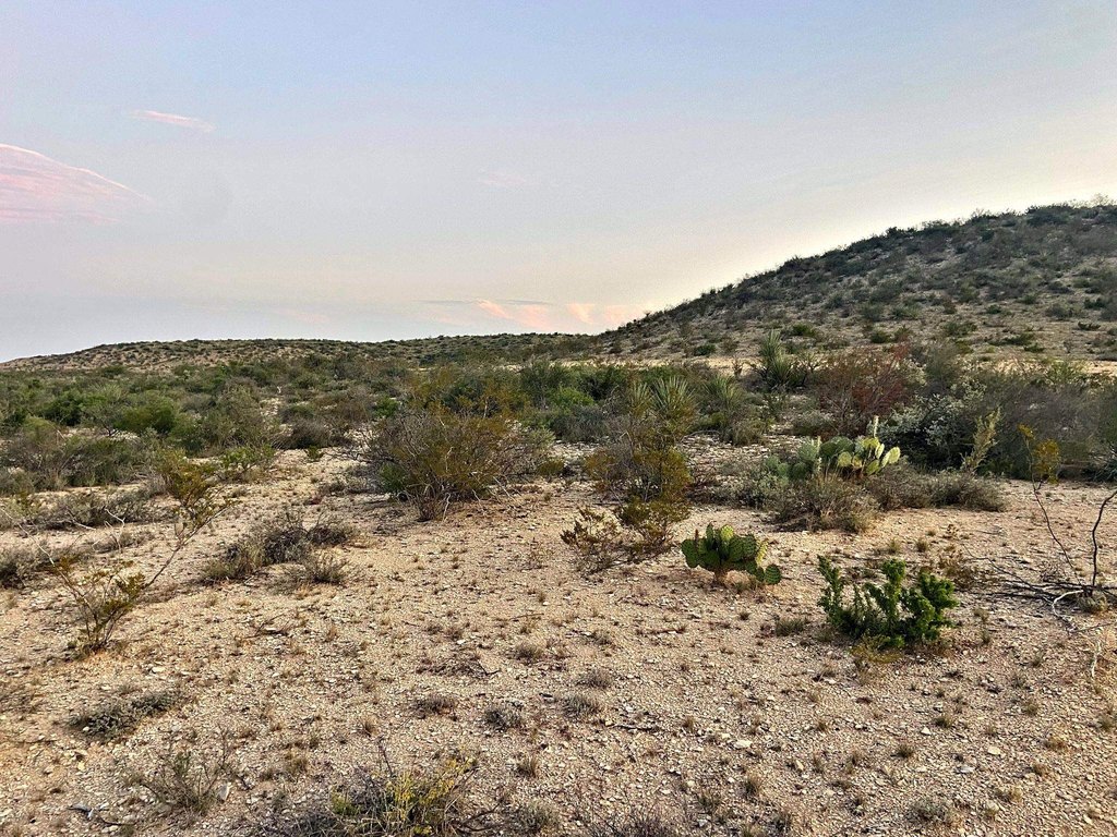 Picture 6