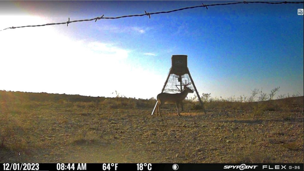 Picture 36