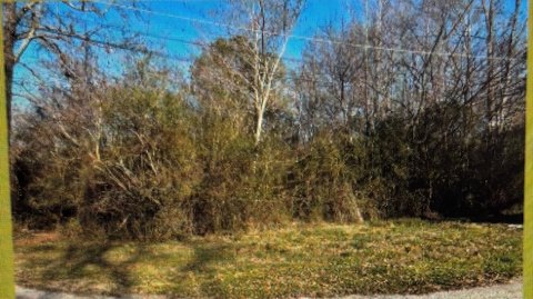 Residential Land in Russellville, AL