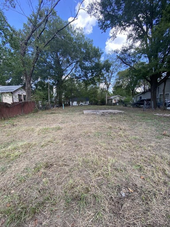 Picture 8
