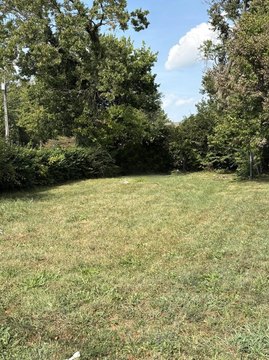Land, Lexington, KY