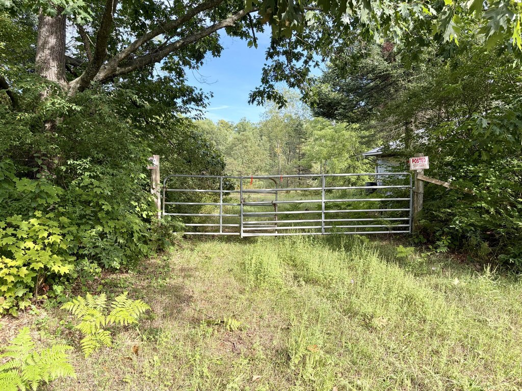 Picture 5