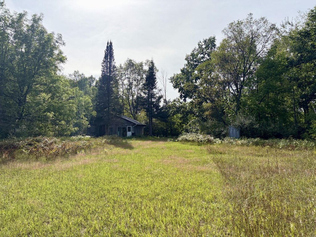 Picture 29