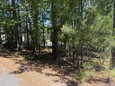 Land in Hot Springs Village