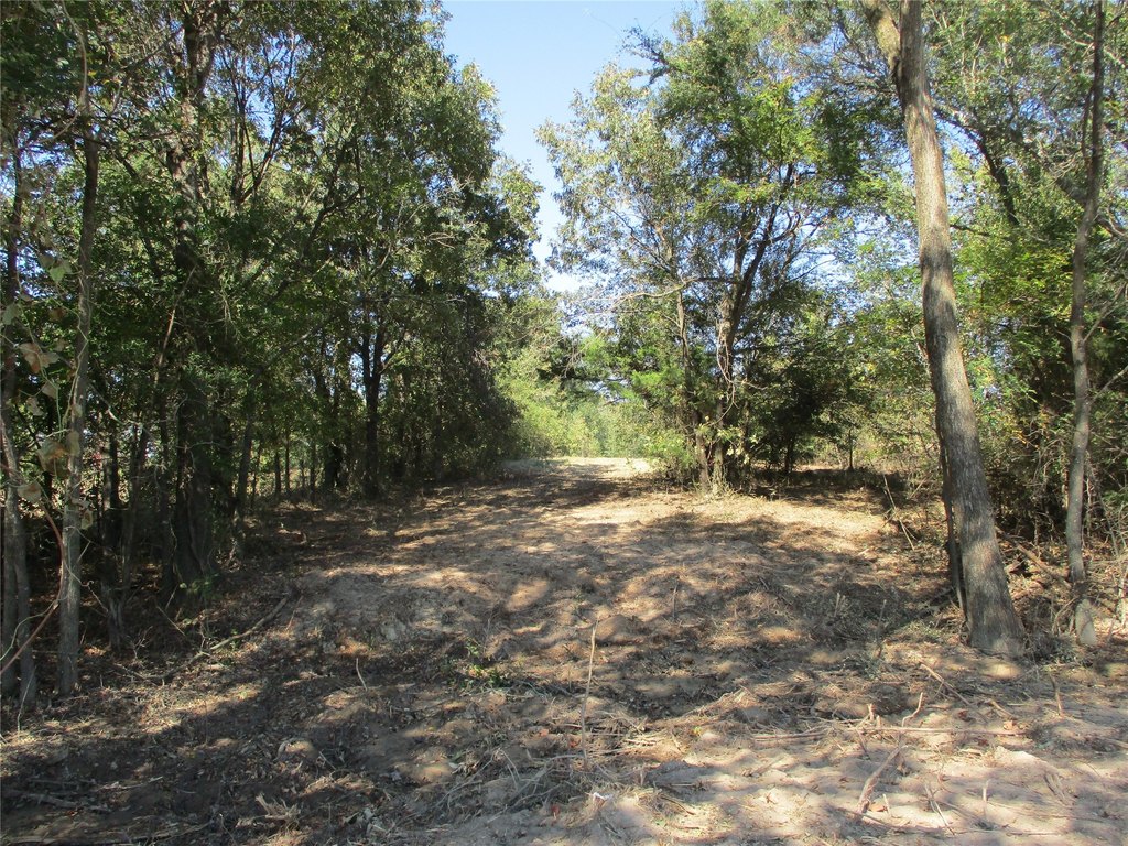 Picture 4
