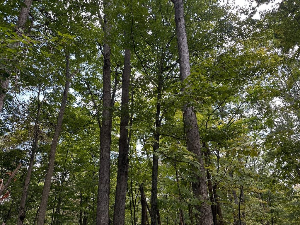 Picture 41