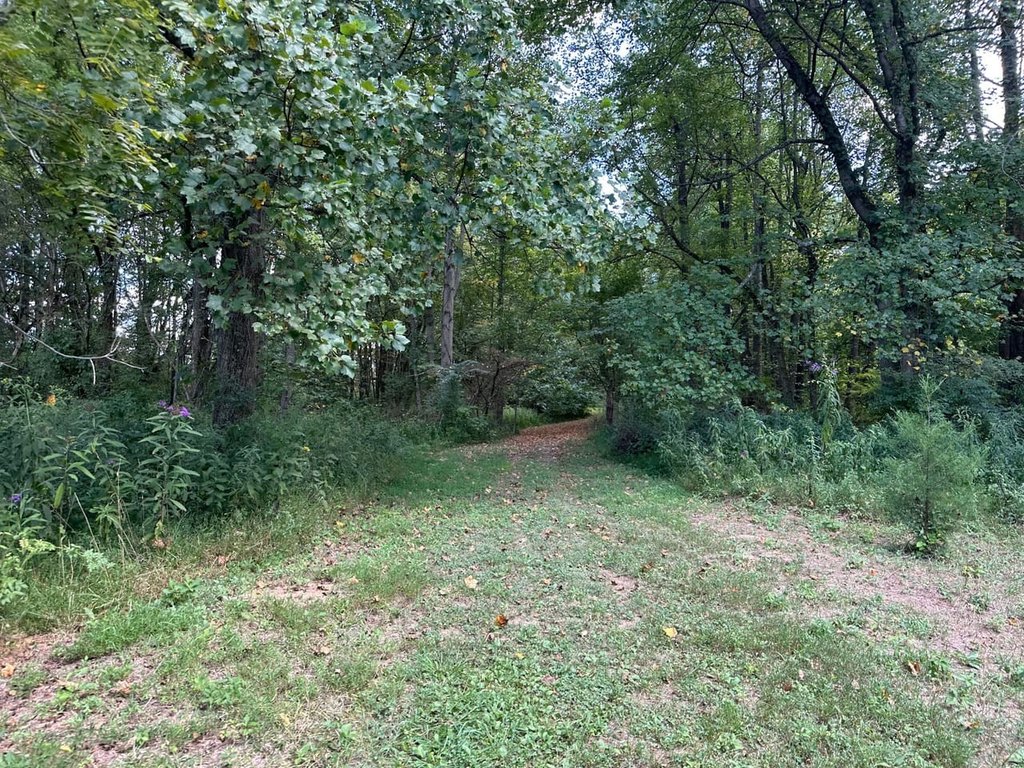 Picture 47