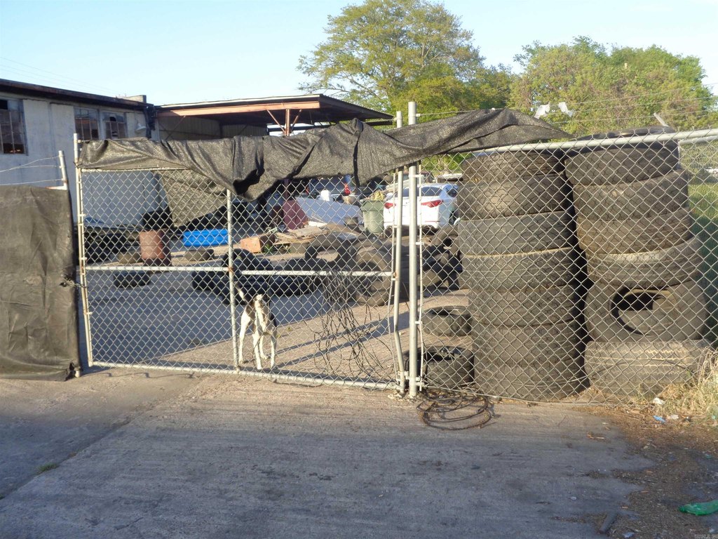 Picture 5